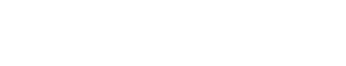 Logo blanc Aviv Ejnes