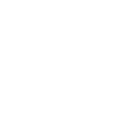 Logo blanc Disk Dr