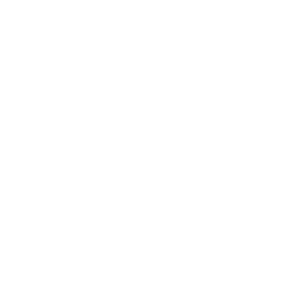 Logo blanc Fragstorm