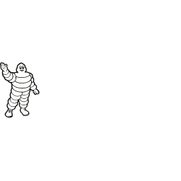 Logo blanc Michelin
