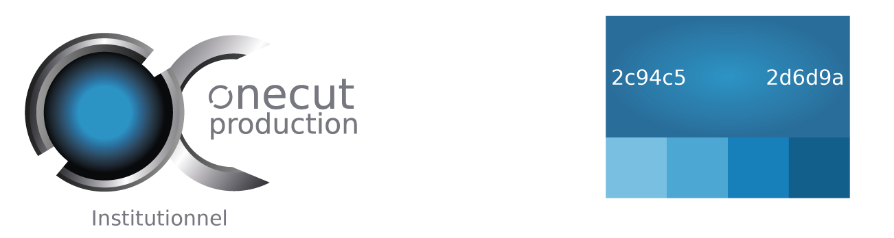 Logo institutionnel avec palette de couleurs
