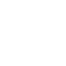 Logo blanc bien être et beauté Palmarosa